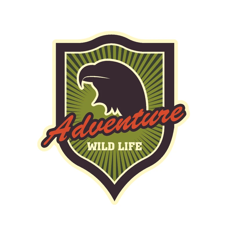 برچسب بدنه خودرو رایسان طرح آفرود کد OF0027