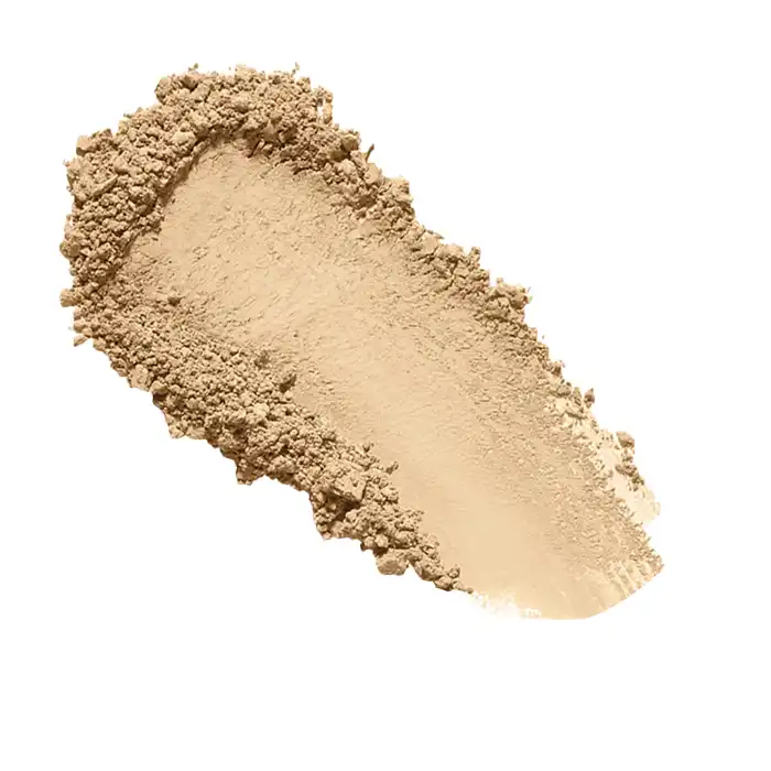 پودر تثبیت کننده آرایش وت اند وایلد مدل barefocus شماره 480E