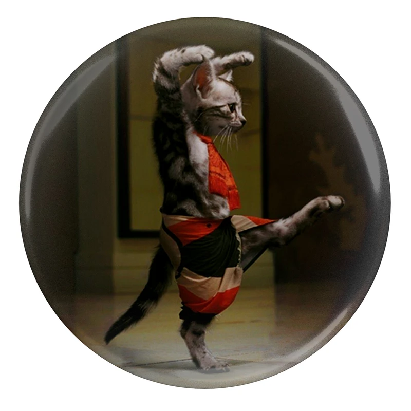 پیکسل طرح گربه کاراته کار مدل S3549