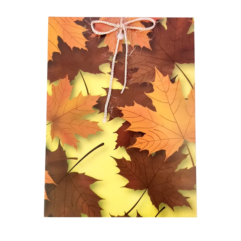 پاکت هدیه مدل paeez15 مجموعه ۱۵ عددی