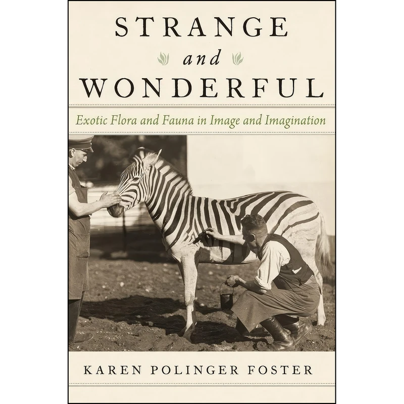 کتاب Strange and Wonderful اثر Karen Polinger Foster انتشارات Oxford University Press