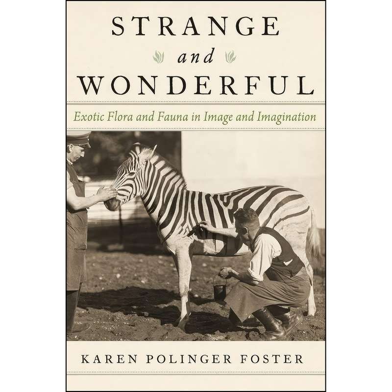 کتاب Strange and Wonderful اثر Karen Polinger Foster انتشارات Oxford University Press کتاب Strange and Wonderful اثر Karen Polinger Foster انتشارات Oxford University Press