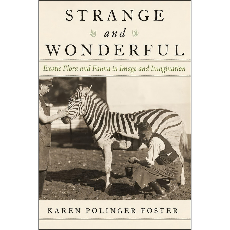 کتاب Strange and Wonderful اثر Karen Polinger Foster انتشارات Oxford University Press کتاب Strange and Wonderful اثر Karen Polinger Foster انتشارات Oxford University Press