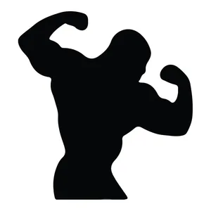 برچسب بدنه خودرو طرح بدنساز کد 980