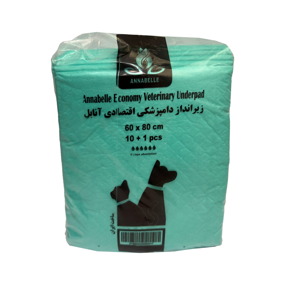 زیرانداز بهداشتی حیوانات خانگی کد 6080 بسته 11 عددی