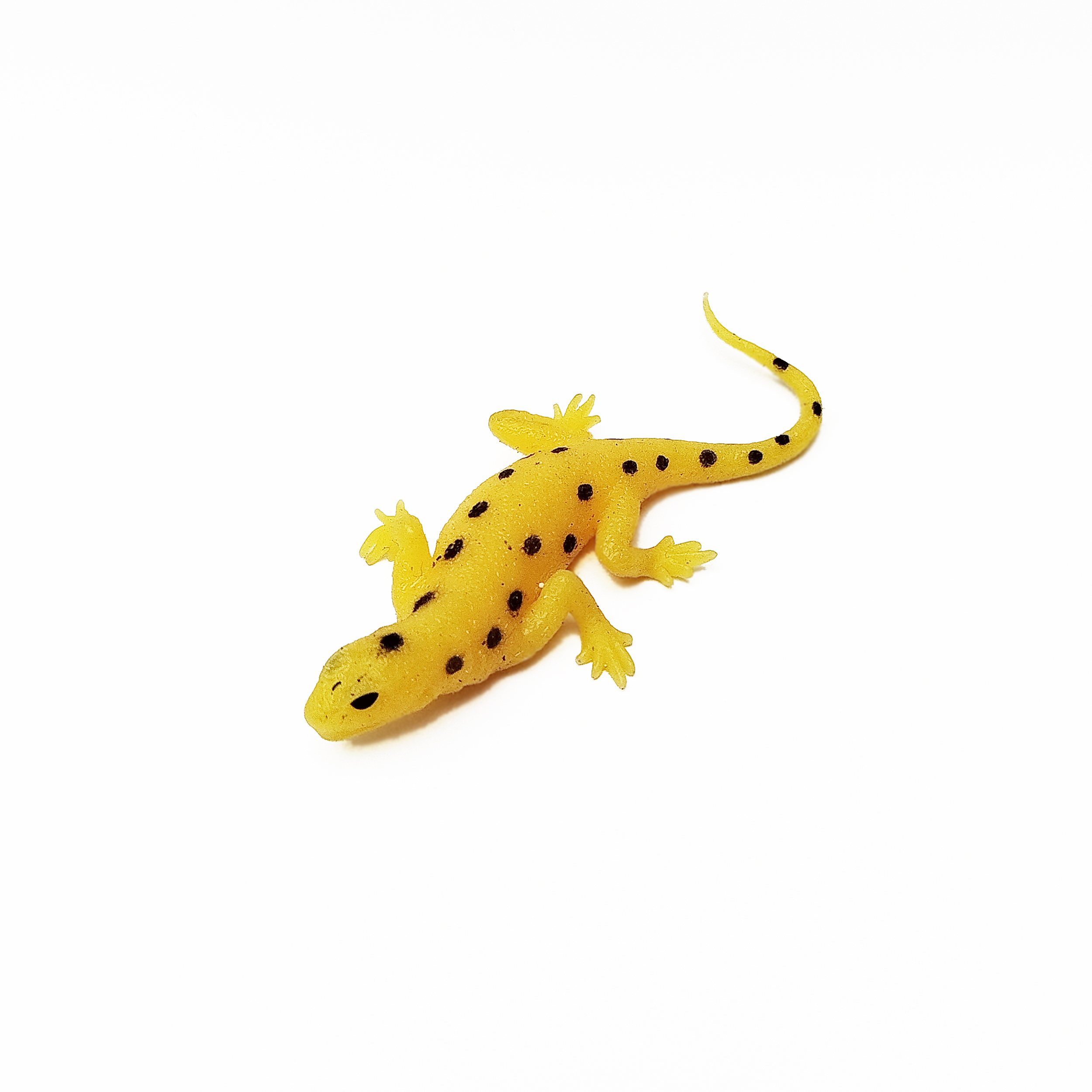 فیجت مدل مارمولک ژله ای کد 1381