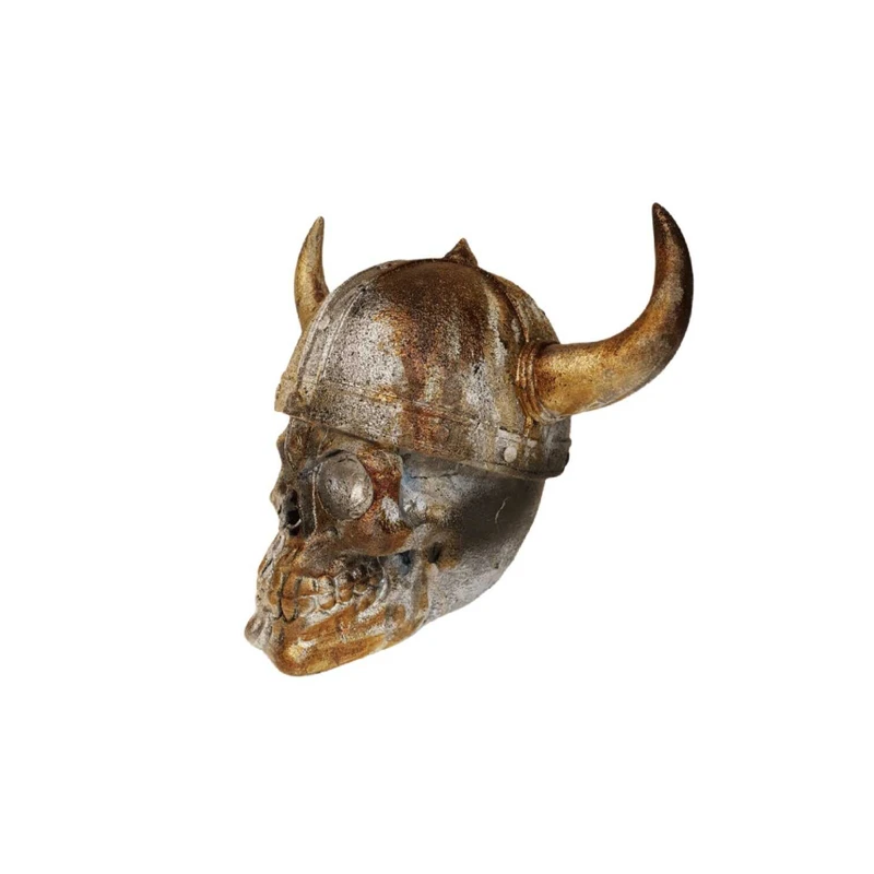 مجسمه مدل جمجمه 