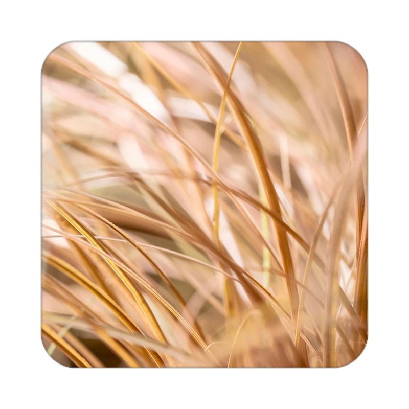 زیر لیوانی کاکتی طرح گل مدل mp16473