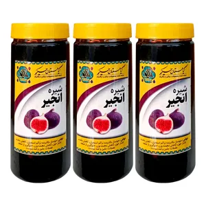 شیره انجیر گیاهستان حکیم - 1 کیلوگرم بسته 3 عددی