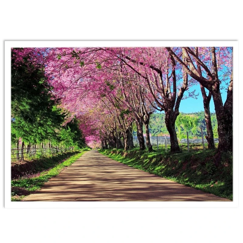 تابلو نوری بکلیت طرح طبیعت شکوفه های بهاری مدل W-S1151