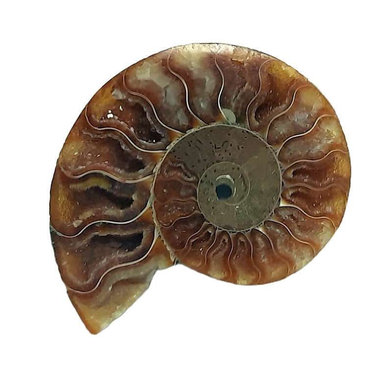 سنگ آمونیت کد 17