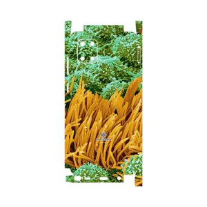 MAHOOT Atom Universe 6-FullSkin Cover Sticker for Samsung Galaxy Note 10 Lite