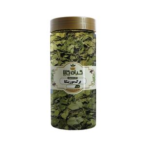 گیاه برگ مورینگا گیاه کالا - 50 گرم