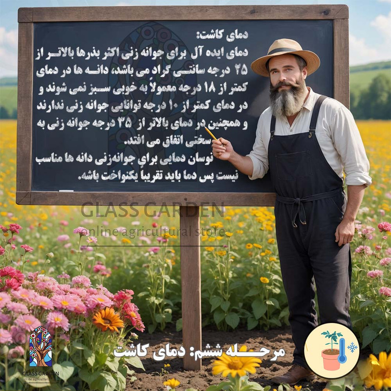 بذر خیار ترشی شمالی خاردار گلس گاردن مدل GL03