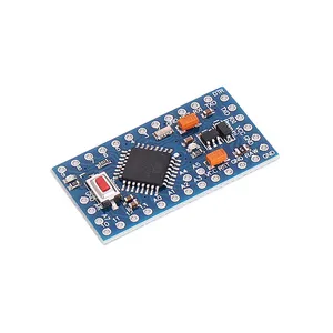 Ardiuno model Pro mini