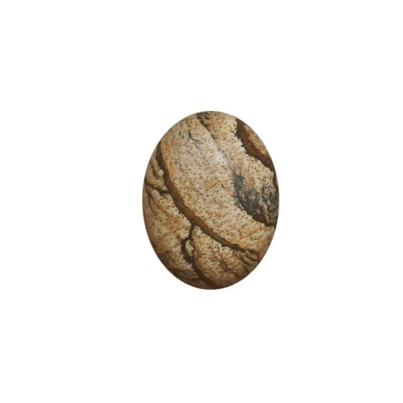 سنگ جاسپر مدل wood کد sh5
