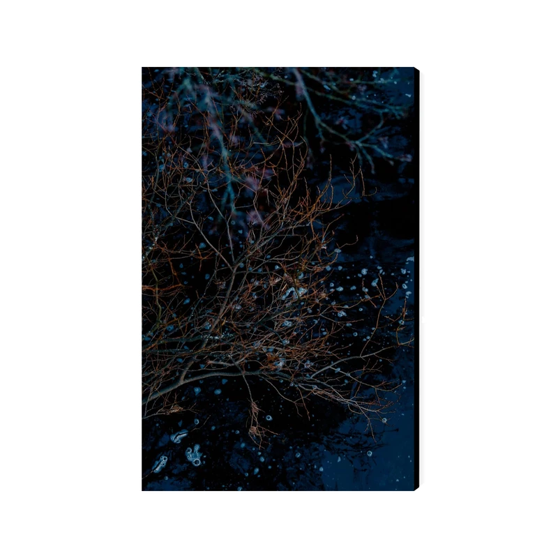 تابلو شاسی عرش مدل فانتزی شاخه کد As4254