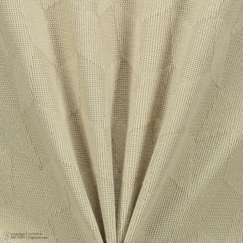 پلیور مردانه باینت مدل 906 رنگ کرم