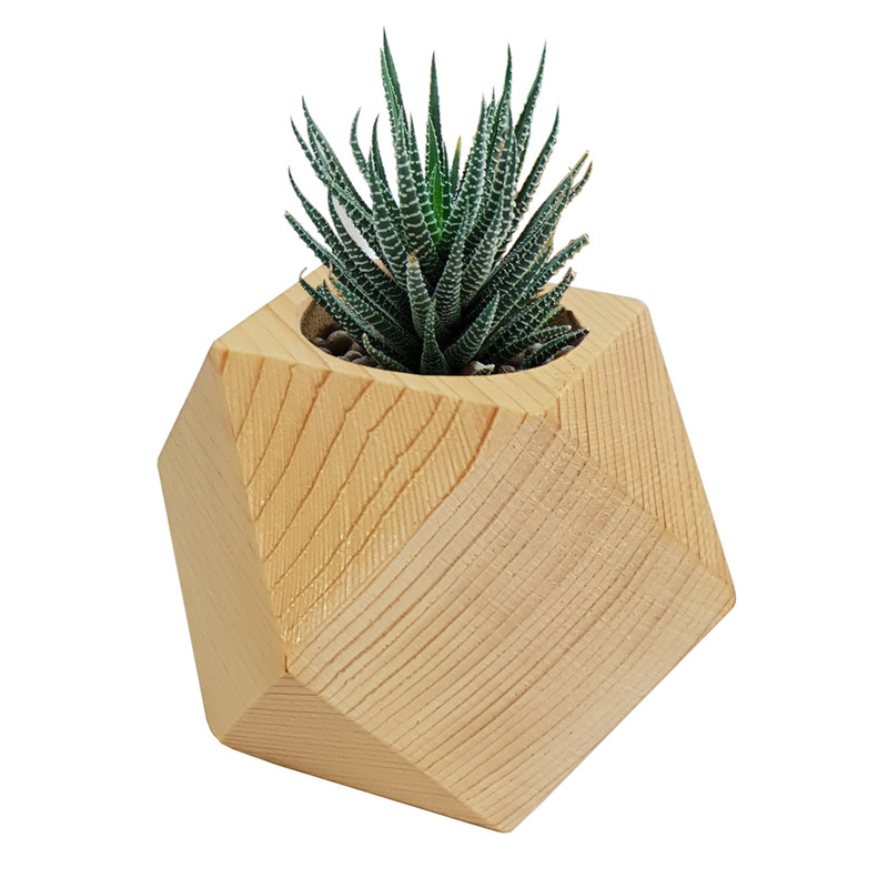 گلدان کاکتوس مدل Z303