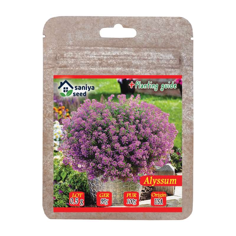 بذر گل آلیسوم بنفش سانیا سید مدل ss9 بذر گل آلیسوم بنفش سانیا سید مدل ss9