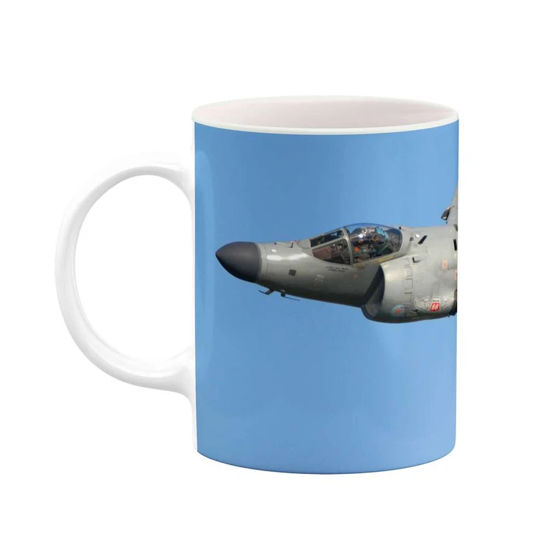 ماگ کاکتی مدل هواپیمای جنگنده کد mgh10598