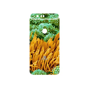 MAHOOT Atom Universe 6 Cover Sticker for Google Nexus 6P