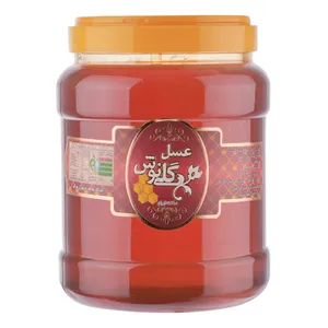 عسل طبیعی گلی نوش - 3 کیلوگرم