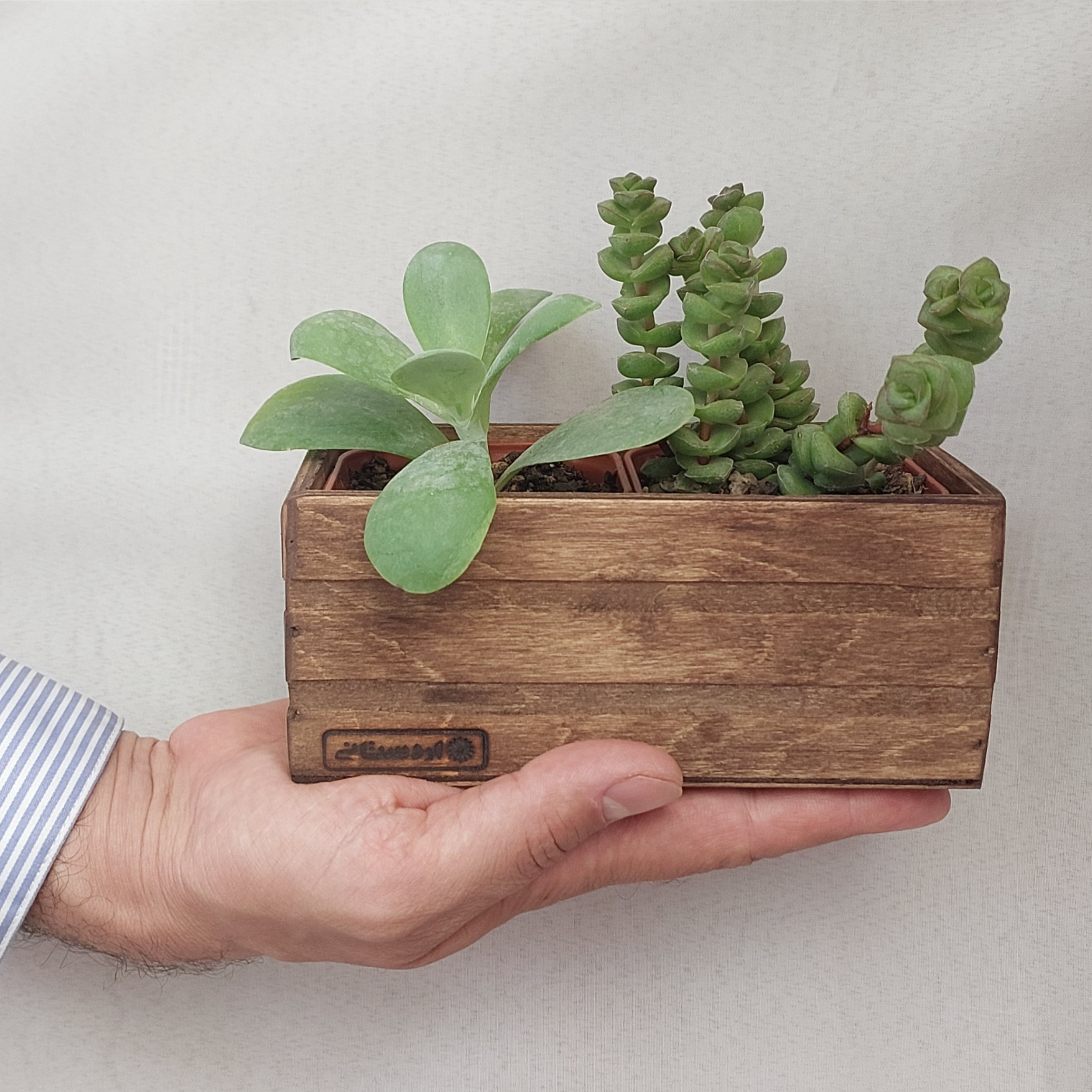 گلدان مدل 22