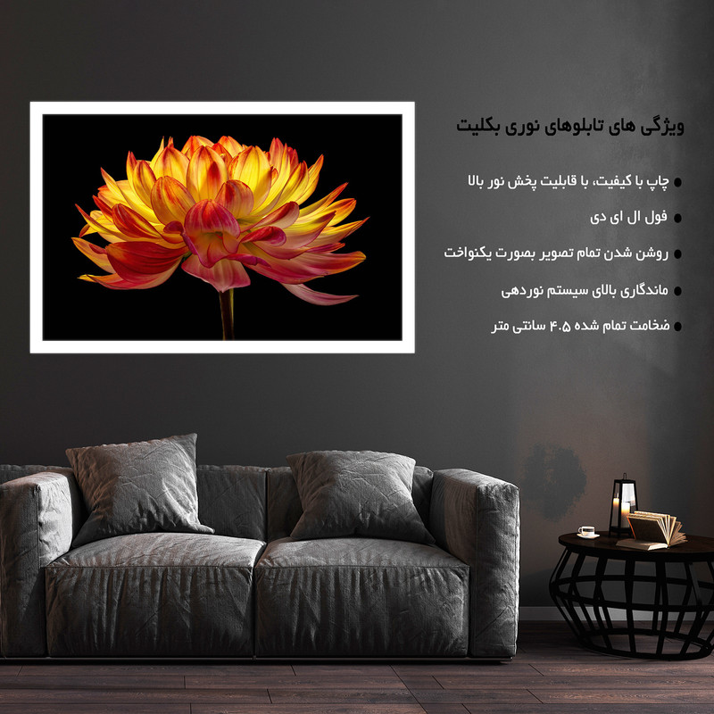 تابلو نوری بکلیت طرح گل کوکب مدل W-MO1759