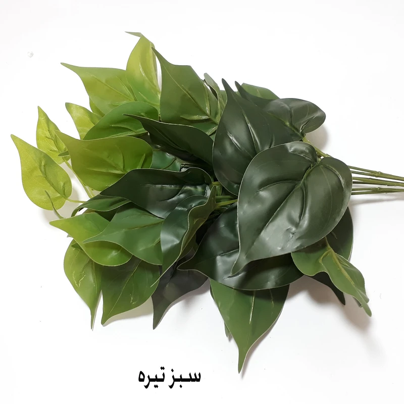 عکس شماره 3