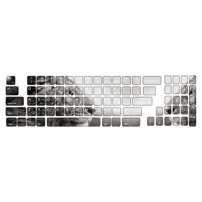 برچسب  حروف فارسی کیبورد طرح Lion  کد ۱۰۲