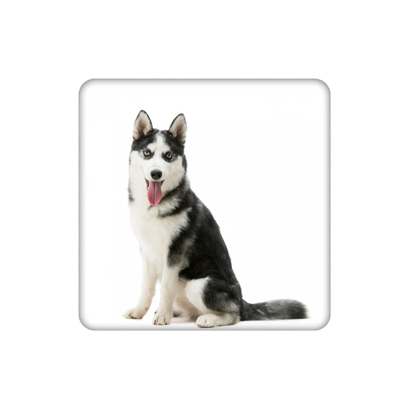 زیرلیوانی طرح سگ هاسکی کد    5379387