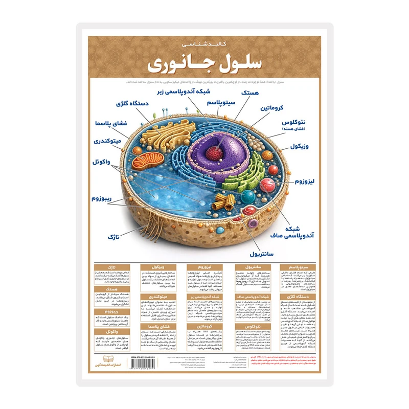 پوستر آموزشی انتشارات اندیشه کهن مدل کالبدشناسی سلول جانوری کد L3