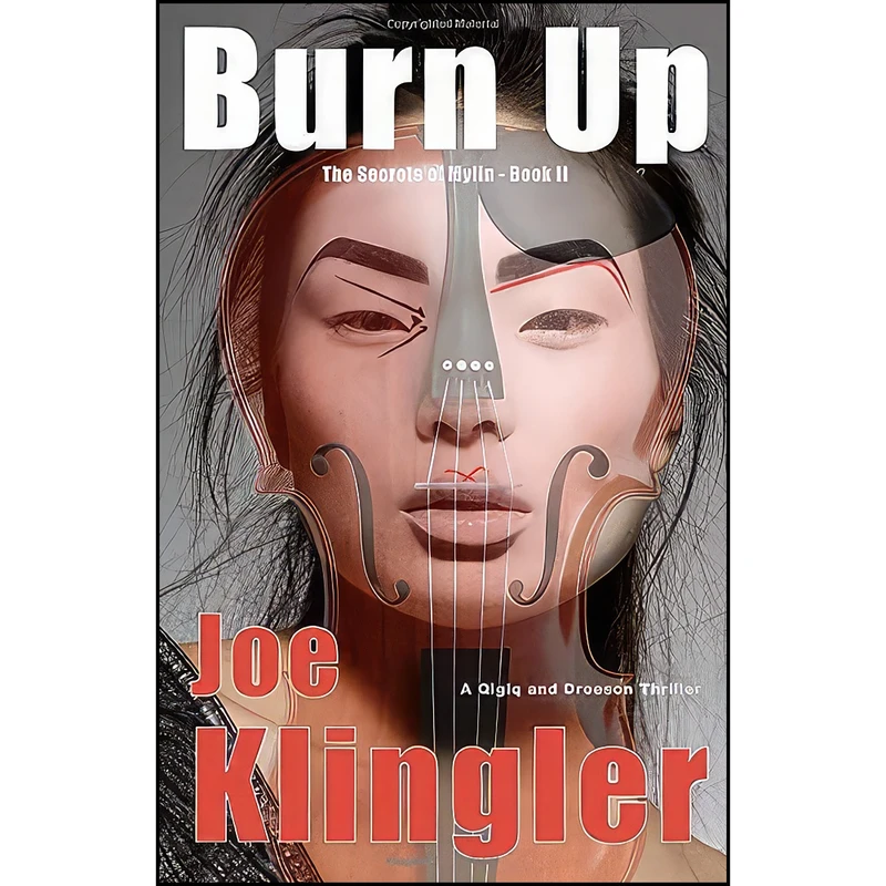 کتاب Burn Up اثر Joe Klingler انتشارات تازه ها