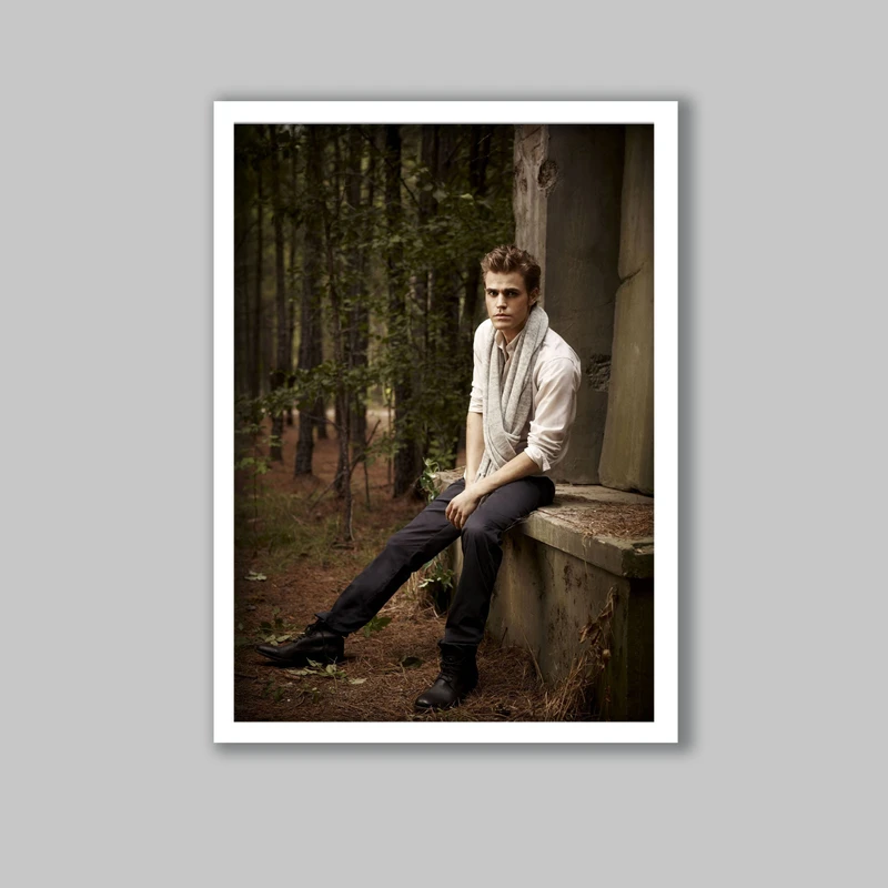 تابلو لیلیان طرح سریال خاطرات خون آشام کد LA-G11449