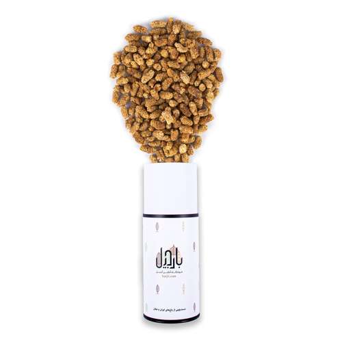 توت خشک ممتاز بارجیل - 500 گرم