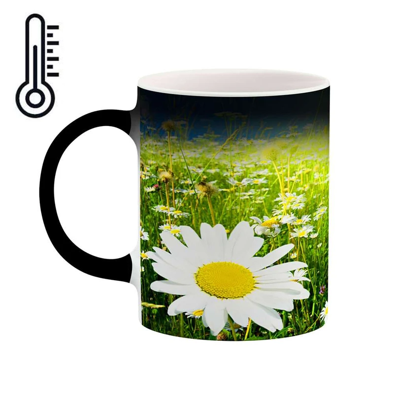 ماگ حرارتی کاکتی مدل گل کد mgh12194