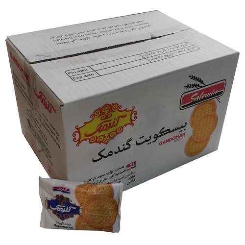 بیسکویت رژیمی سالمین - 25 گرم بسته 60 عددی