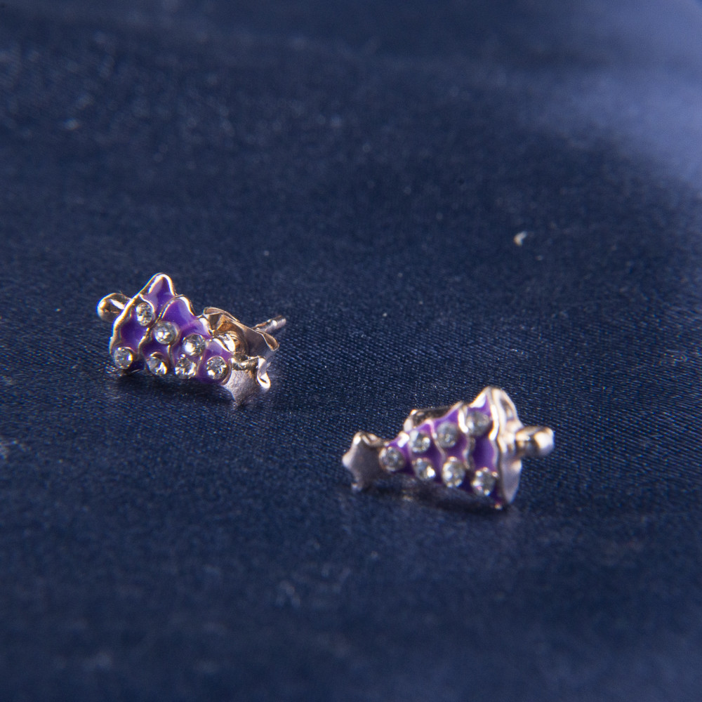 گوشواره دخترانه کد RKH_510