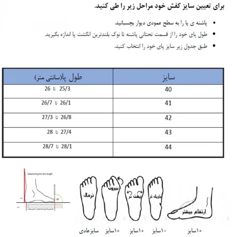 عکس شماره 2