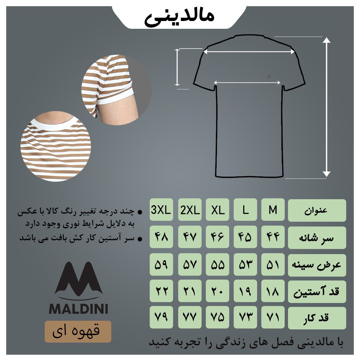 تی شرت آستین کوتاه مردانه مالدینی مدل t-479 -  - 4