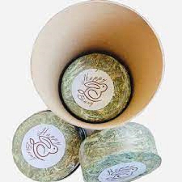 غذای جوندگان هپی بانی مدل پلت علوفه قرصی هویج وزن 600 گرم