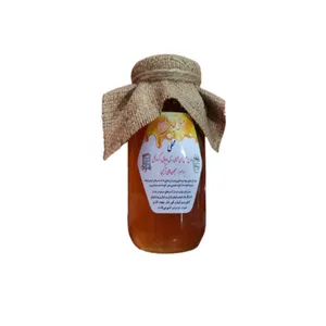 عسل گون گز انگبین آران - 650 گرم