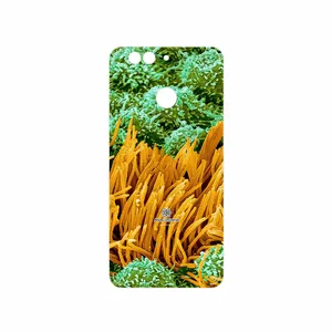 MAHOOT Atom Universe 6 Cover Sticker for Huawei Nova 2 Plus