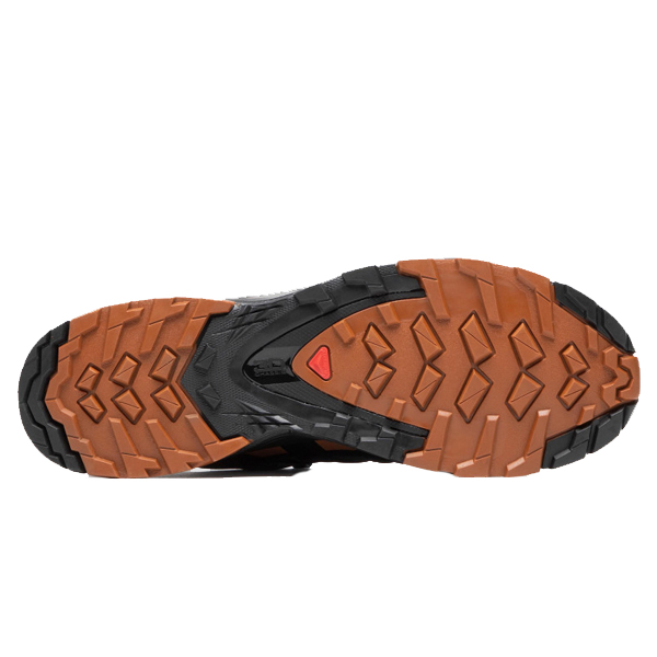 کفش مخصوص دویدن مردانه سالومون مدل Xa Pro 3D V8 Gtx GORE-TEX Ebony -  - 4