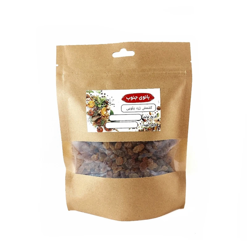 کشمش پلویی آفتابی بانوی جنوب - 500 گرم