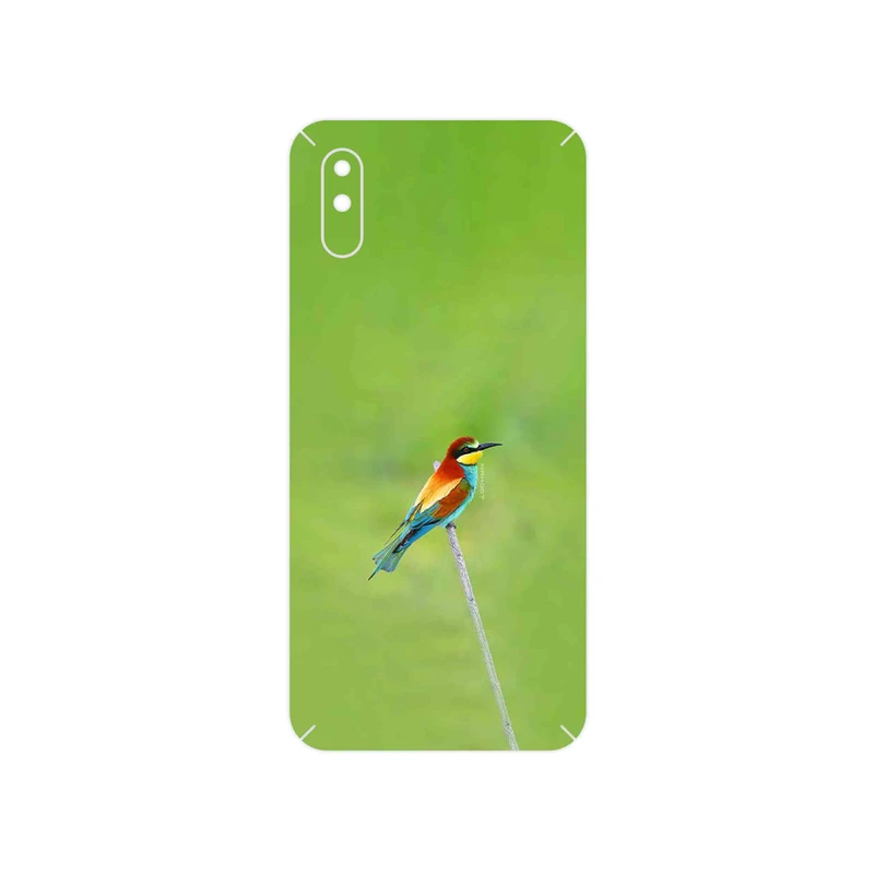 برچسب پوششی ماهوت مدل European bee-eater مناسب برای گوشی موبایل آنر 9A