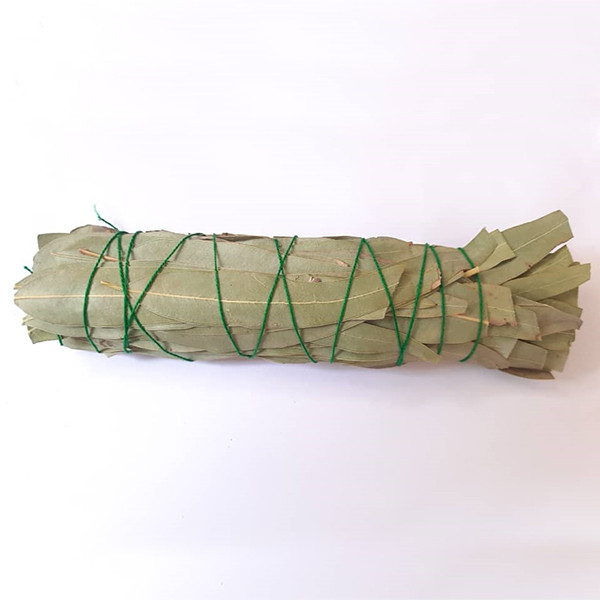 اسماج مدل اکالیپتوس