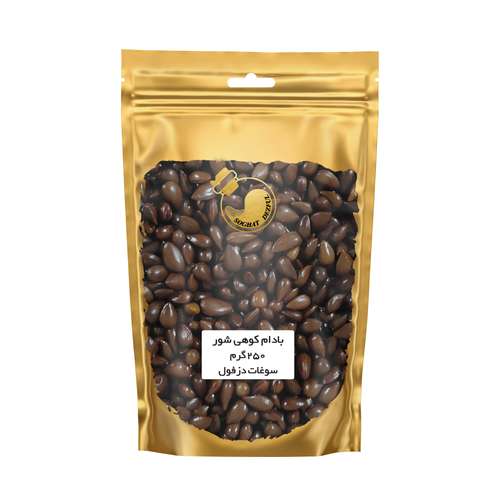 بادام کوهی شور و مرطوب الوک باپوست سوغات دزفول - 250 گرم