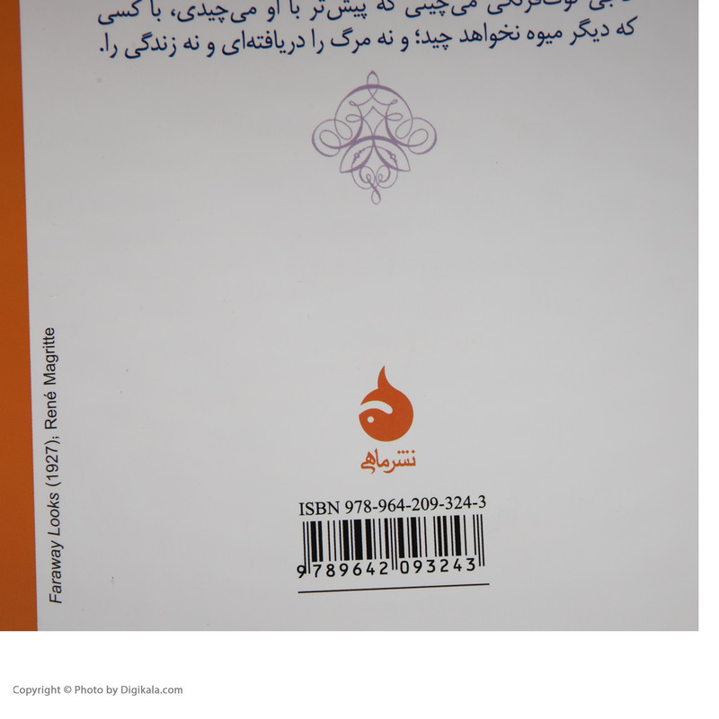 کتاب خانم بئاته و پسرش اثر آرتور شنیتسلر نشر ماهی